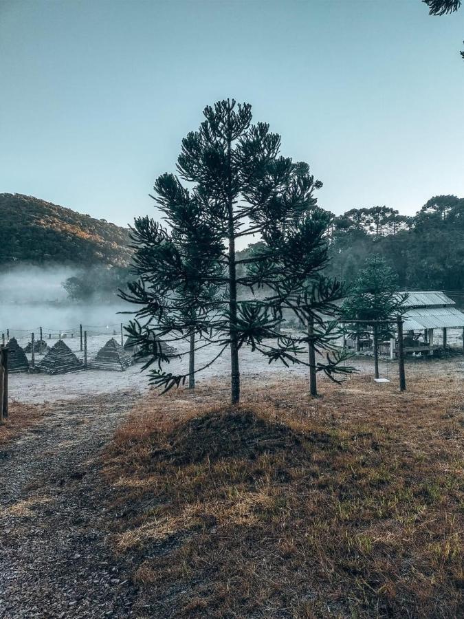Chale House Falkenberg モンテ・ヴェルデ エクステリア 写真